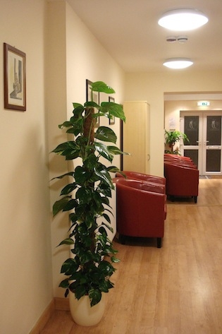 Corridor