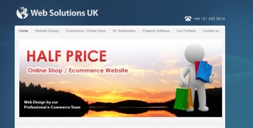 Ecommerce Web Design, Online Store  / Online Shop
