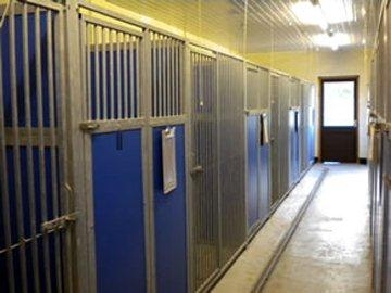 Purrfect Kennels