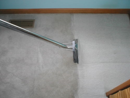 clean carpet free promite with every clean No more dust mites for 14 months
