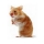 25 25 10246 Slider