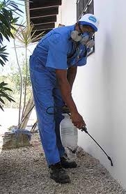 Pest Control Poplar, 11b Churchill Place, Poplar, E14 5RB, 02036160403, pestcontrolpoplar.org