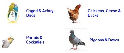 PET BIRDS & LIVESTOCK