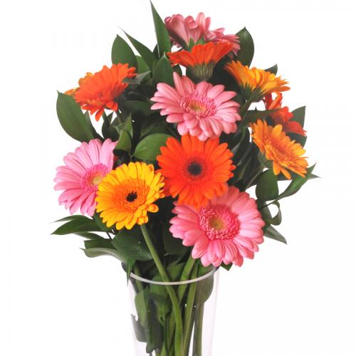 Germini Get Together £24.95