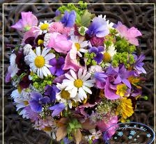 Flowers 2