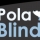 Pblogo2