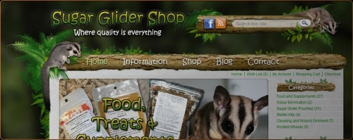 eCommerce site