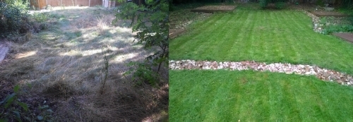 Garden Renovation Before After