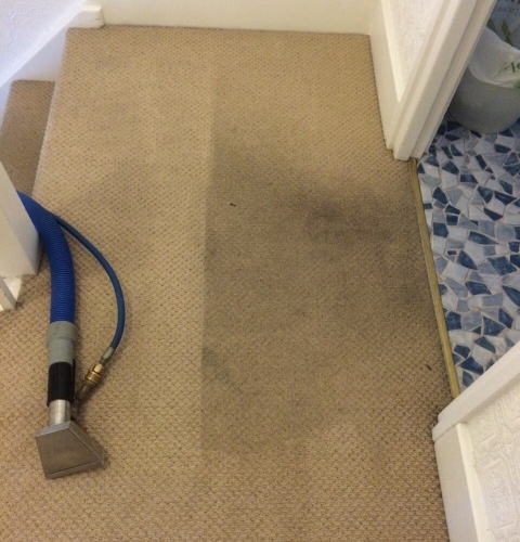 Dirty Beige Staircase Carpet In Process Of Cleaning