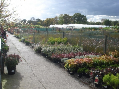 Grasslands Nursery Ltd, Garden Centres In Knutsford