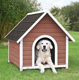 Dog With House