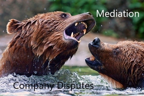 Company Disputes