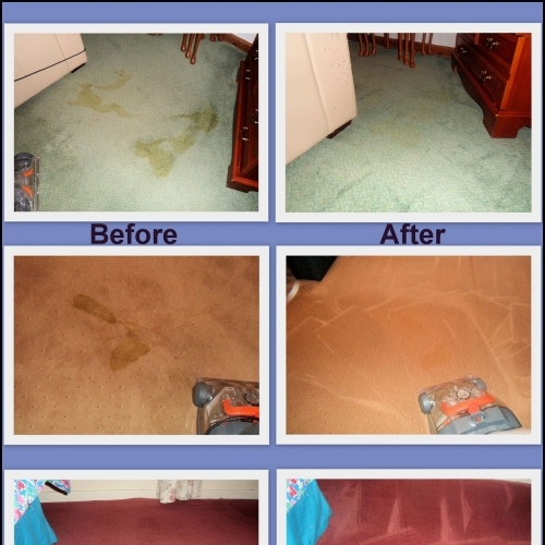 Carpet Cleaning Collage