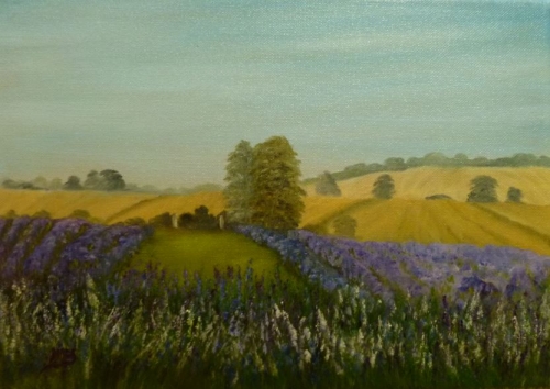 Shropshire Lavender