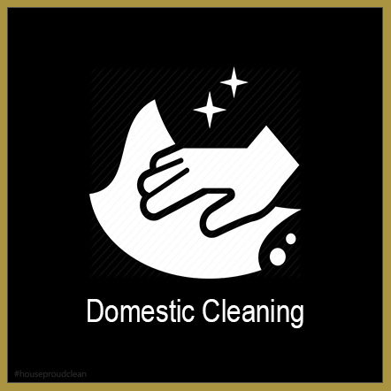 Domestic Cleaning