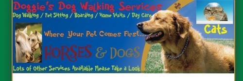 www.doggiesdogwalkingservices.co.uk