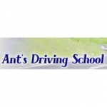 Ant's Driving School