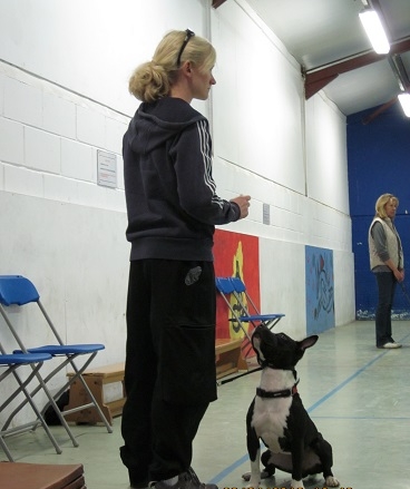 Obedience Training Class