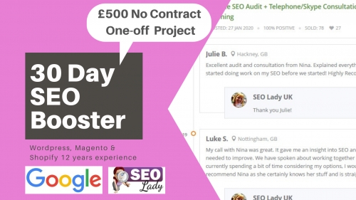 SEO Booster - 30 Days Digital Manager